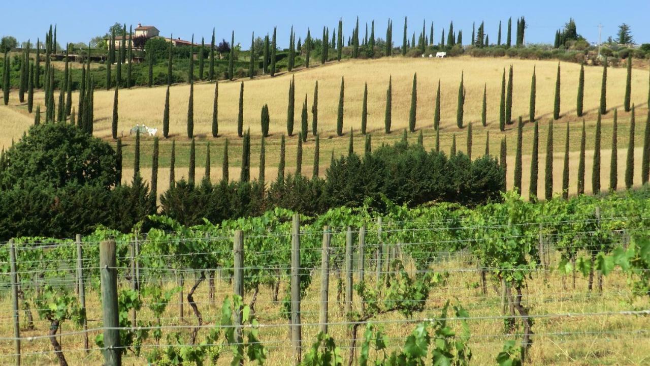 Appartamenti Ava E Tegrino Nell'Antica Dimora Di Fulignano San Gimignano Exteriör bild