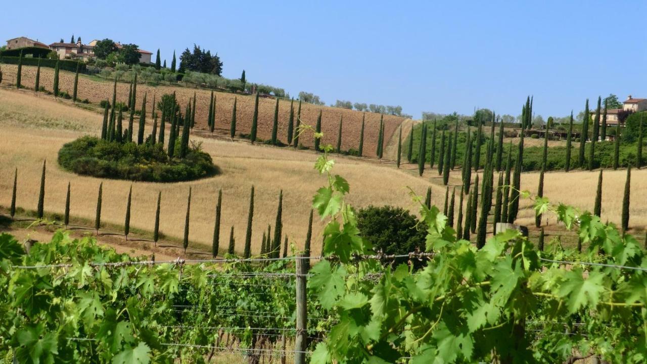 Appartamenti Ava E Tegrino Nell'Antica Dimora Di Fulignano San Gimignano Exteriör bild